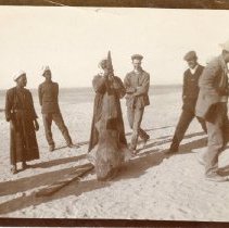 Omc 2003.008.041, Fd.1.3.12.p  (1)